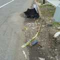 Discarded Umbrella Carcasses, NYC