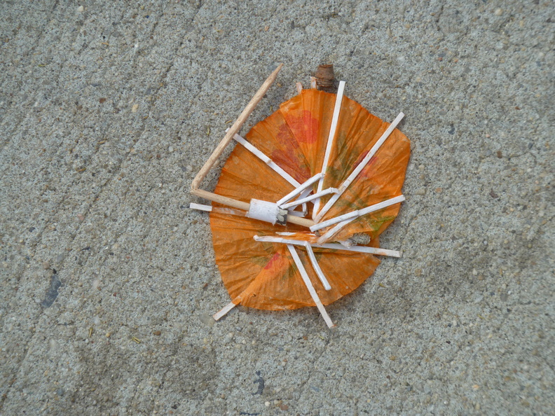 Discarded Umbrella Carcasses, NYC