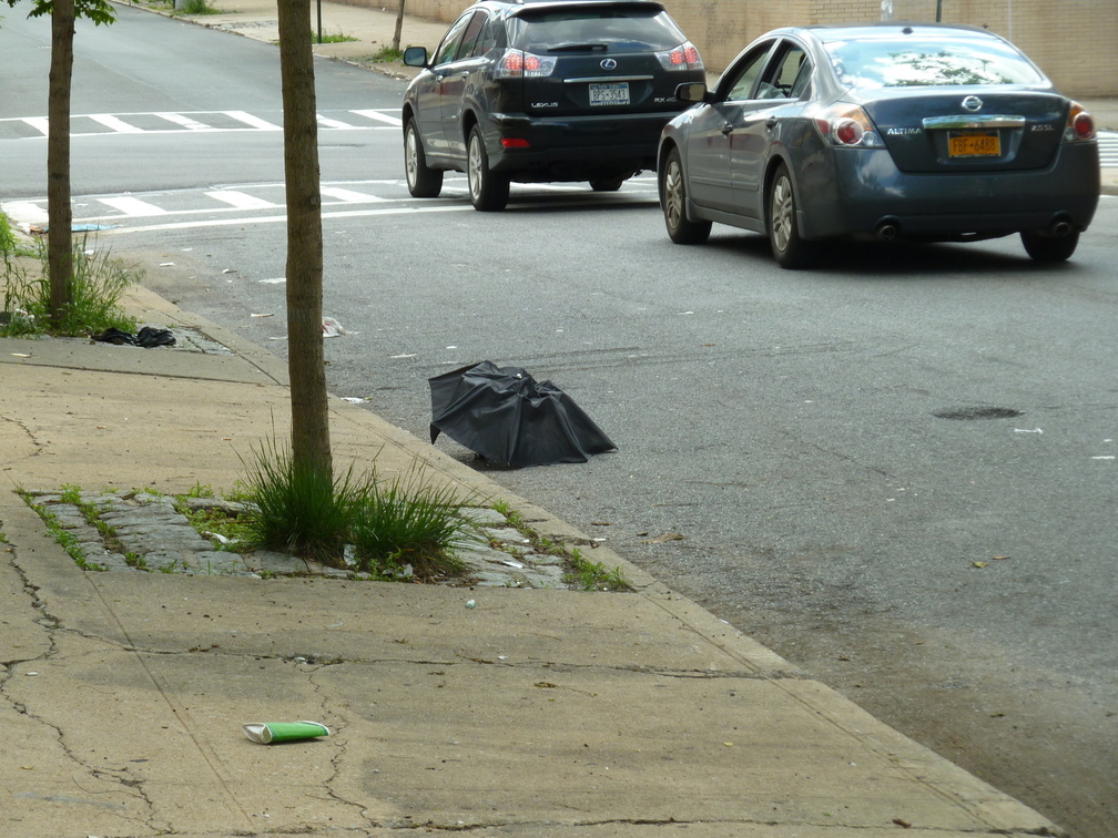 Discarded Umbrella Carcasses, NYC