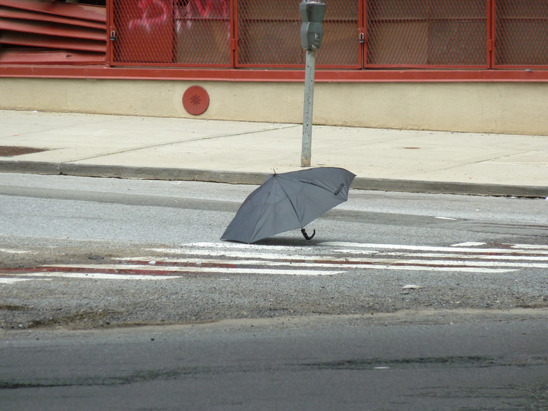 Discarded Umbrella Carcasses, NYC