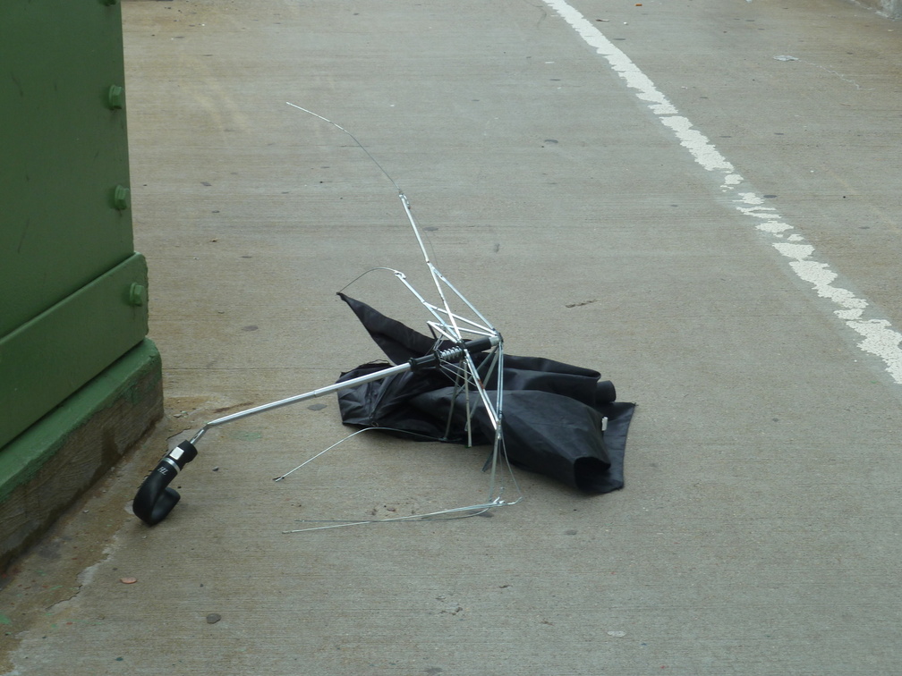 Discarded Umbrella Carcasses, NYC