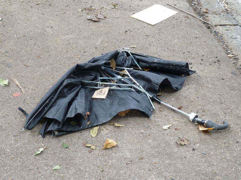 Discarded Umbrella Carcasses, NYC