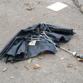 Discarded Umbrella Carcasses, NYC