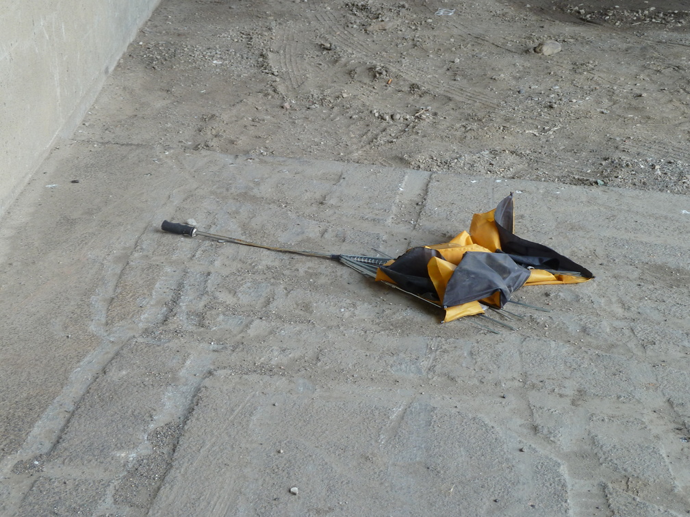 Discarded Umbrella Carcasses, NYC