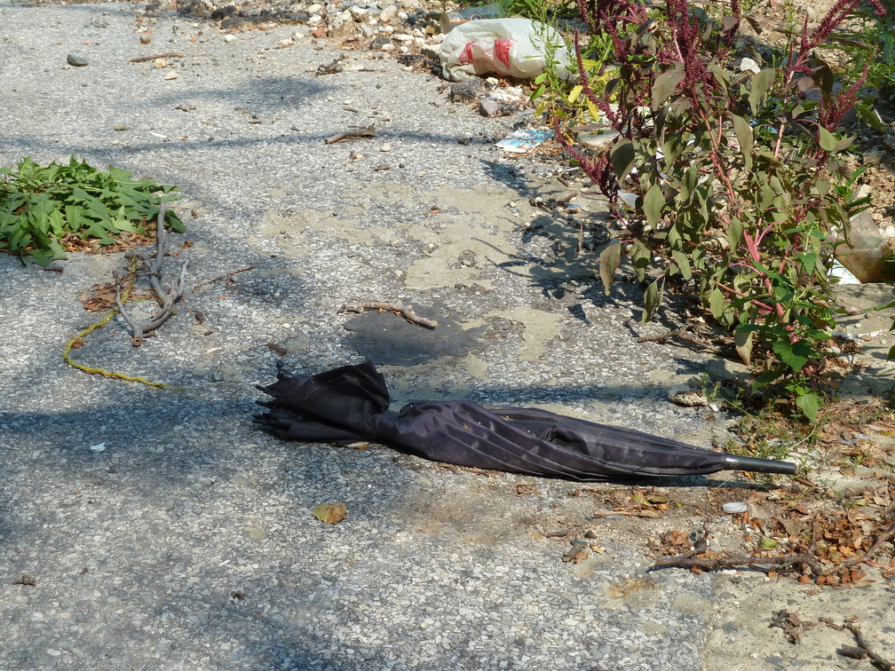 Discarded Umbrella Carcasses, NYC