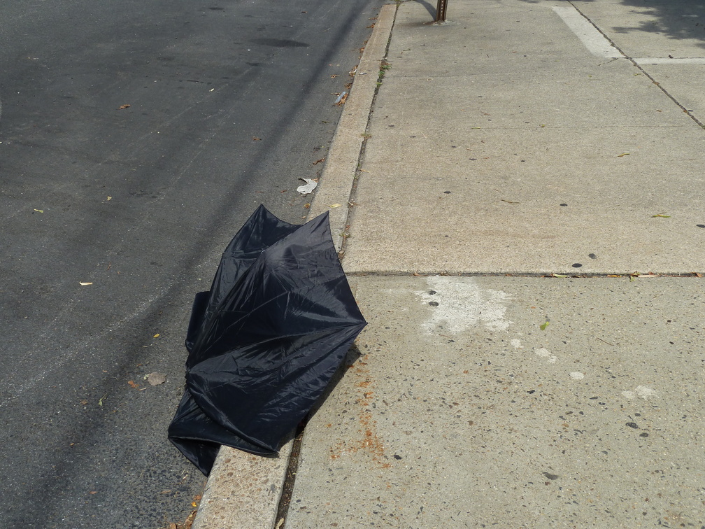 Discarded Umbrella Carcasses, NYC