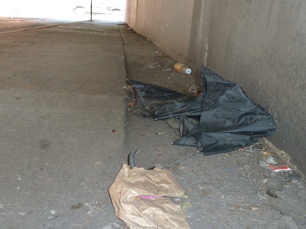 Discarded Umbrella Carcasses, NYC