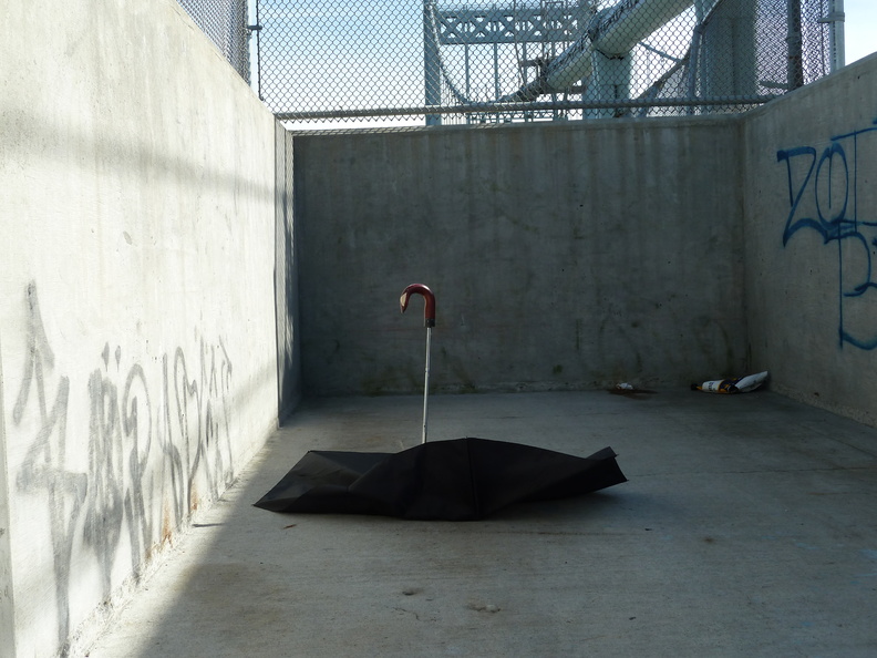 Discarded Umbrella Carcasses, NYC