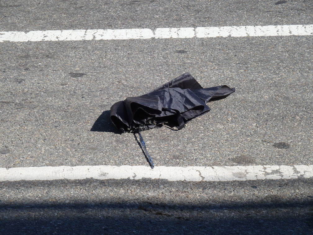 Discarded Umbrella Carcasses, NYC