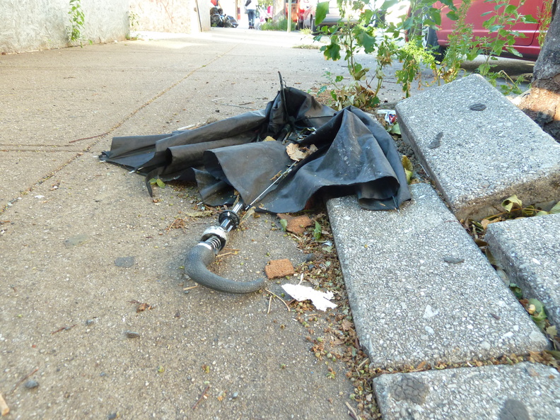 Discarded Umbrella Carcasses, NYC