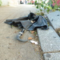 Discarded Umbrella Carcasses, NYC