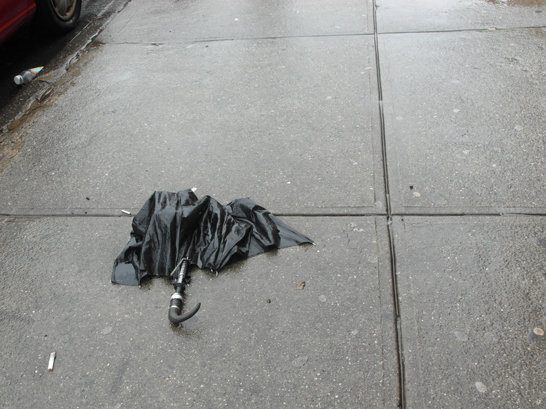 Discarded Umbrella Carcasses, NYC