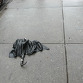 Discarded Umbrella Carcasses, NYC