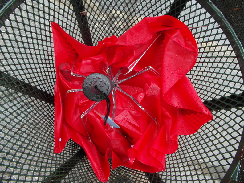 Discarded Umbrella Carcasses, NYC