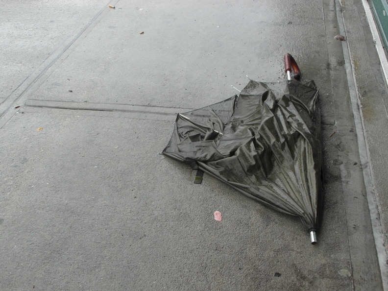 Discarded Umbrella Carcasses, NYC