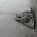 Discarded Umbrella Carcasses, NYC