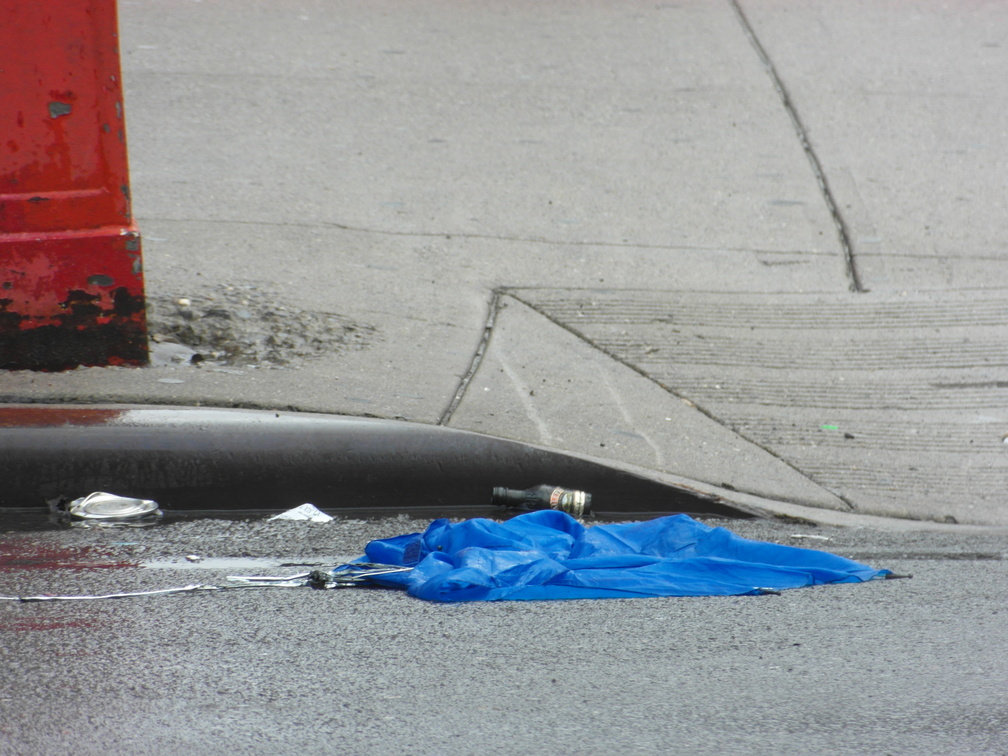 Discarded Umbrella Carcasses, NYC