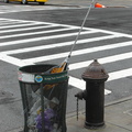 Discarded Umbrella Carcasses, NYC