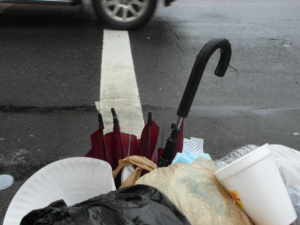 Discarded Umbrella Carcasses, NYC