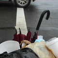 Discarded Umbrella Carcasses, NYC