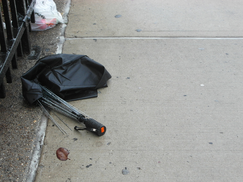 Discarded Umbrella Carcasses, NYC