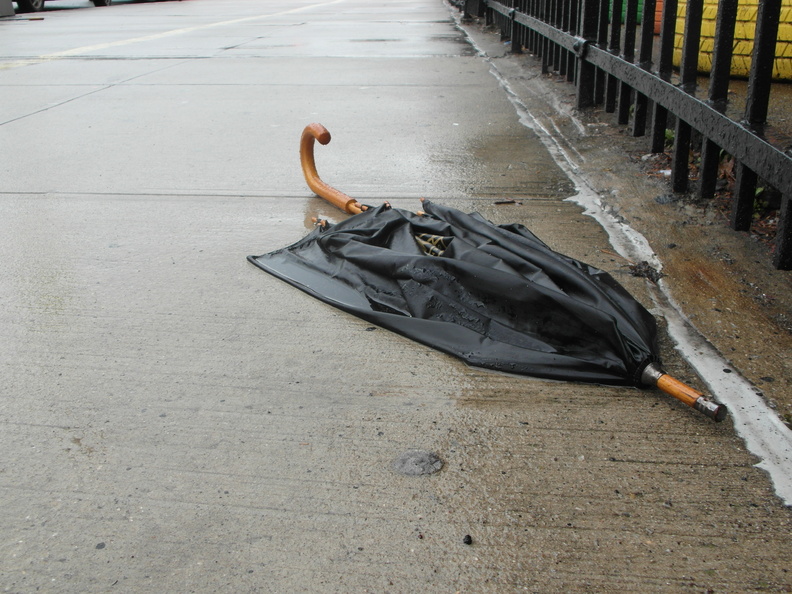 Discarded Umbrella Carcasses, NYC