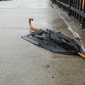 Discarded Umbrella Carcasses, NYC