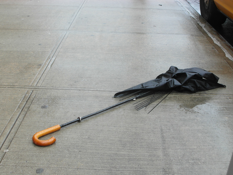 Discarded Umbrella Carcasses, NYC