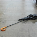 Discarded Umbrella Carcasses, NYC