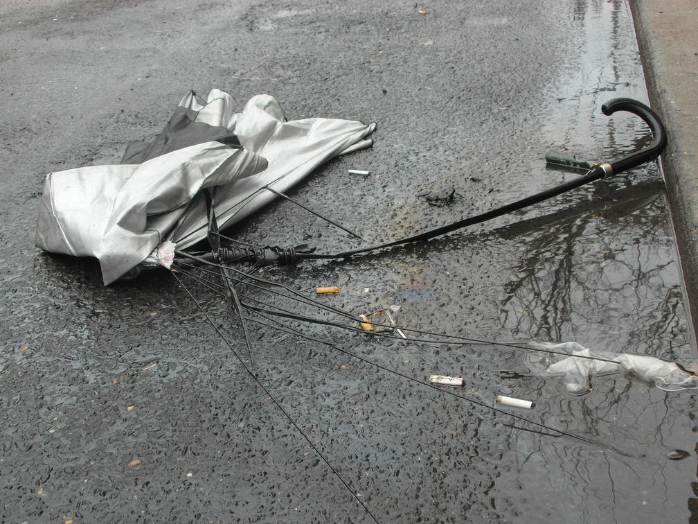 Discarded Umbrella Carcasses, NYC