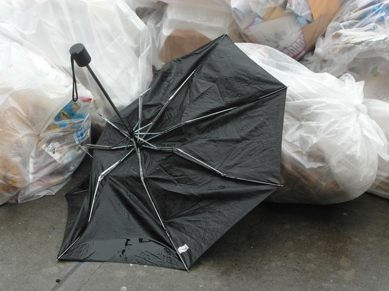 Discarded Umbrella Carcasses, NYC