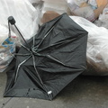 Discarded Umbrella Carcasses, NYC