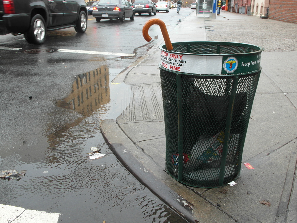 Discarded Umbrella Carcasses, NYC