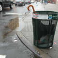 Discarded Umbrella Carcasses, NYC