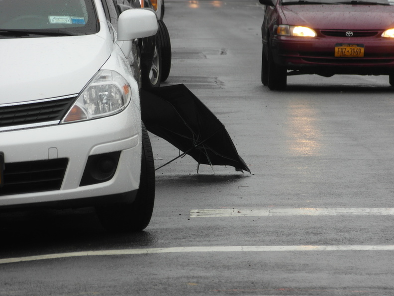 Discarded Umbrella Carcasses, NYC