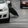 Discarded Umbrella Carcasses, NYC