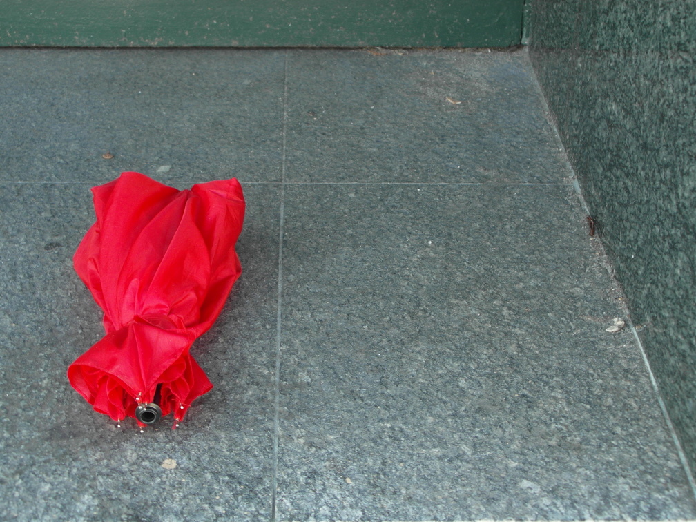 Discarded Umbrella Carcasses, NYC