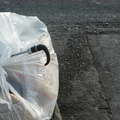 Discarded Umbrella Carcasses, NYC