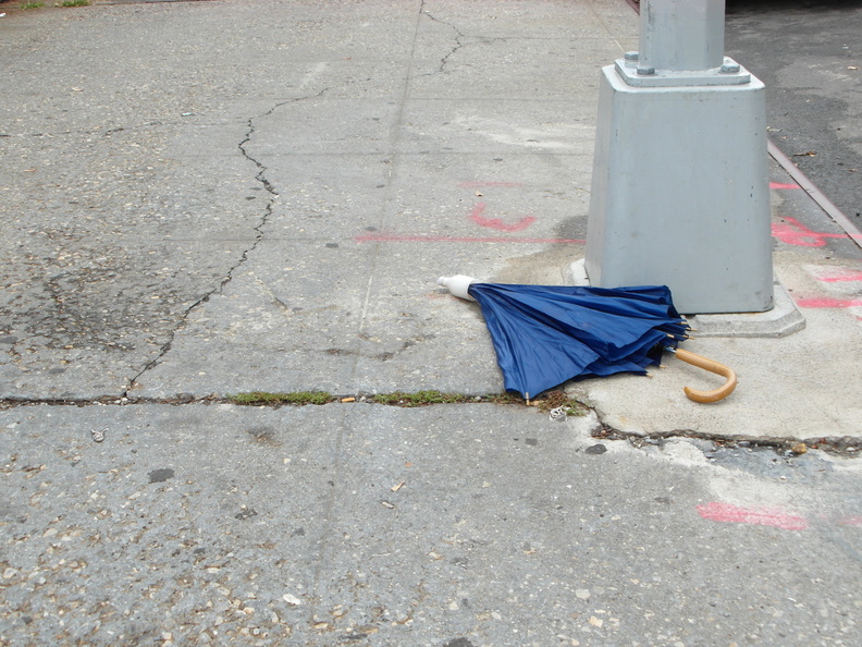 Discarded Umbrella Carcasses, NYC