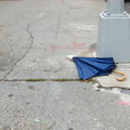 Discarded Umbrella Carcasses, NYC