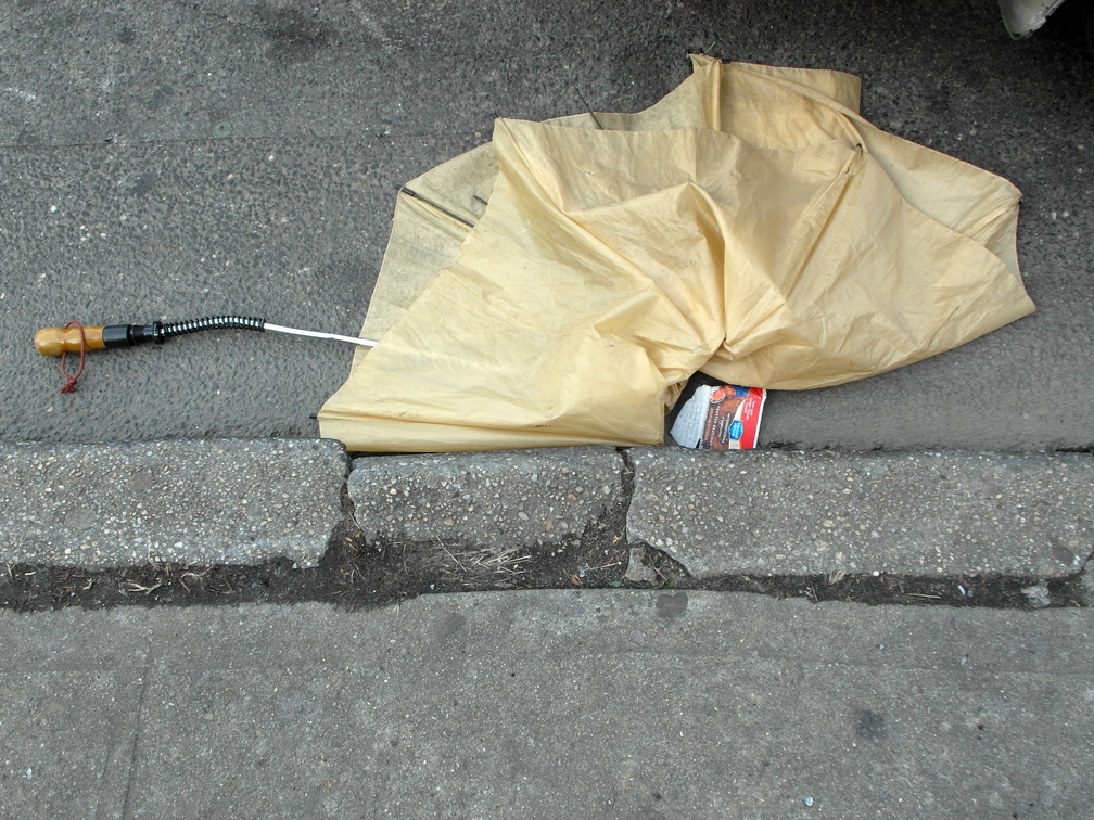 Discarded Umbrella Carcasses, NYC