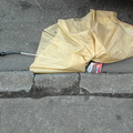 Discarded Umbrella Carcasses, NYC