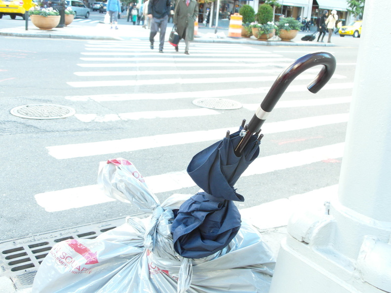 Discarded Umbrella Carcasses, NYC