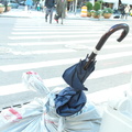 Discarded Umbrella Carcasses, NYC