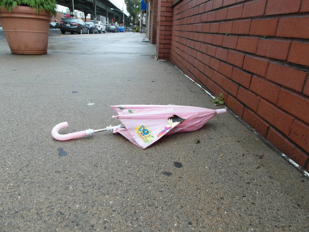 Discarded Umbrella Carcasses, NYC