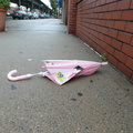 Discarded Umbrella Carcasses, NYC