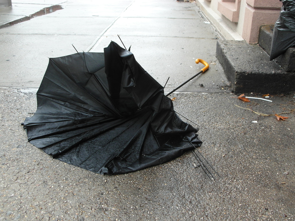 Discarded Umbrella Carcasses, NYC