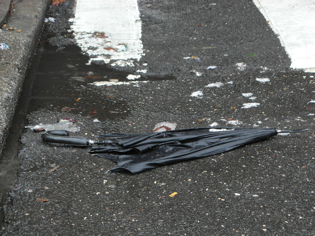 Discarded Umbrella Carcasses, NYC