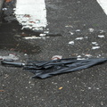 Discarded Umbrella Carcasses, NYC