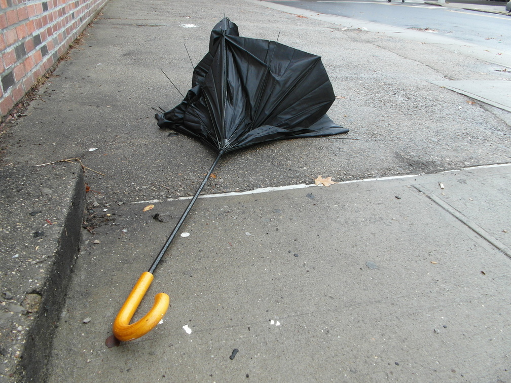 Discarded Umbrella Carcasses, NYC